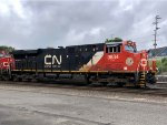 CN 3834